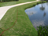 Naples Florida