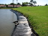 Yacht, Golf & Tennis Club Fort Meyers, FL