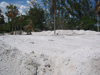 North co property