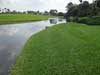 Boca Raton FL soil erosion - After Geo-Tube construction and sodding of the project